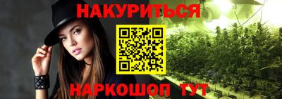 гидра Новодвинск