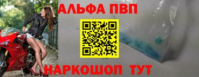 гидра Новодвинск