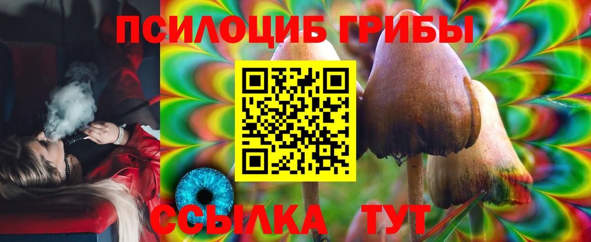 Галлюциногенные грибы прущие грибы  Вход с VPN  Ростов Великий 
